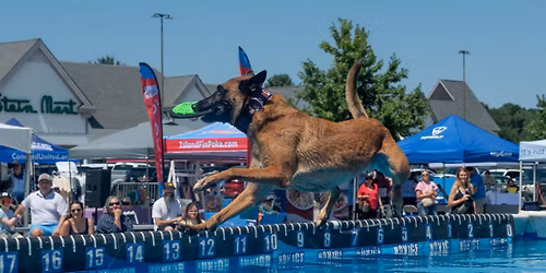 DockDogs\u00ae at the Pierce County Fair  |  Wild Card!