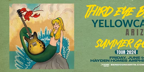 Third Eye Blind with Yellowcard