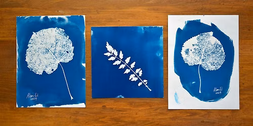 Botanical Cyanotype Printmaking