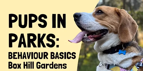 Pups in the Park: Box Hill Gardens