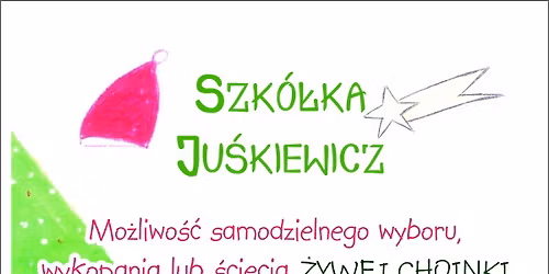 Zaznaczanie choinek start