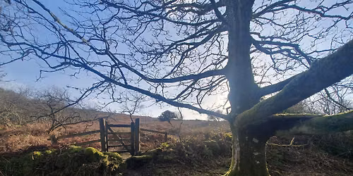 Wild Rambling: Skills - Navigation for Beginners