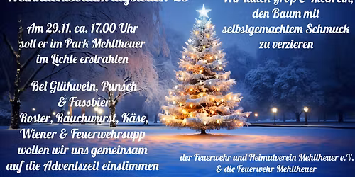 Weihnachtsbaum aufstellen '25