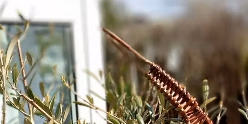 Willow Swallow Workshop