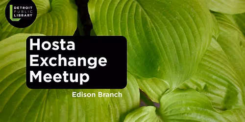 Hosta Exchange Meetup