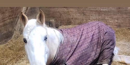 First Ever Open House!!!