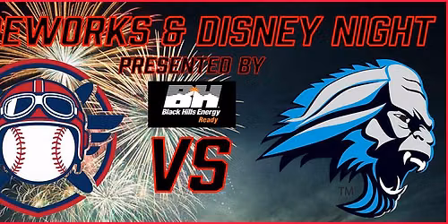 Firework and Disney Night by Black Hills Energy