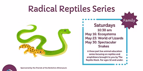 Radical Reptiles Series | Children's Programming
