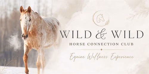 WILD & WILD Horse Connection Club | Equine Wellness Experience