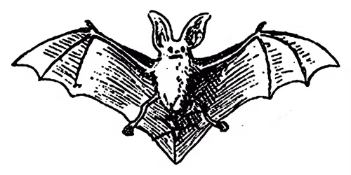 Spellbound Indy Dark Rave - November 2026 Edition