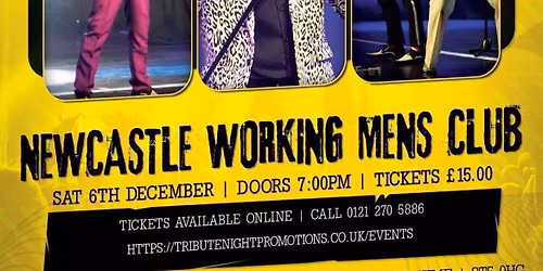 Rod Stewart tribute night