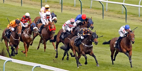 Afternoon Racing