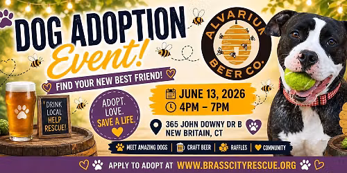 Adoption Event at Alvarium Beer Co.