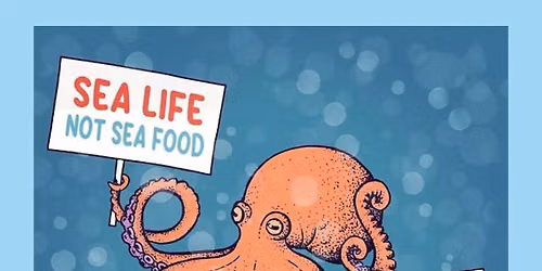Octopus Musings : an Event with Shelby Van Pelt