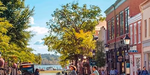 Alexandria Mystery Picnic: Self-Guided Foodie Adventure
