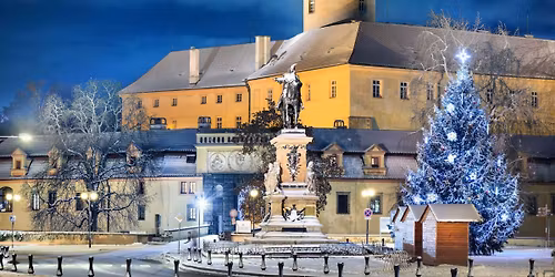 Rozsvícení vánočních stromů Poděbrady 2025