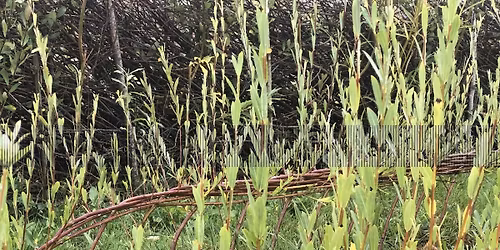 REGENERATIVE FARMING: WALK AT HIGHER KEIGWIN FARM