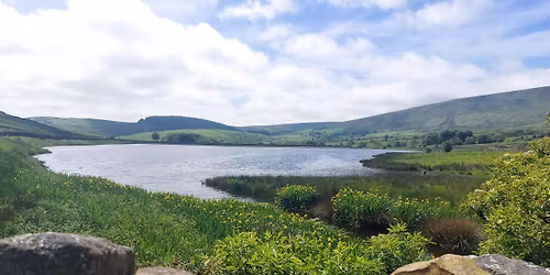 Black Moss and Pendle Sculptures Saturday Saunter