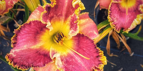 Garden Center Open House Event