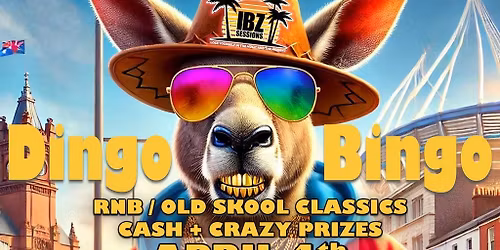 Dingo Bingo