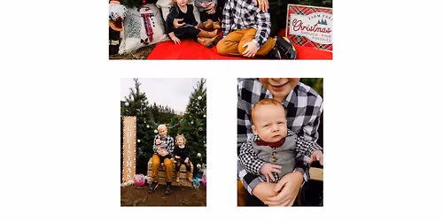 Chritmas Tree Farm Minis