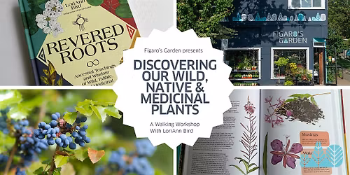 Walk & Talk: Discovering Our Wild, Native, and Medicinal Plants