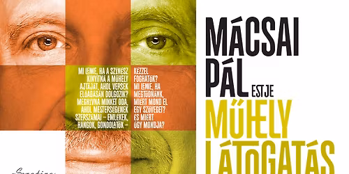 M\u0171helyl\u00e1togat\u00e1s - M\u00e1csai P\u00e1l estje