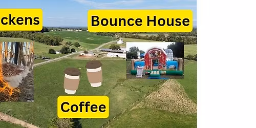 Chicken sale- Layers, Pullets, Coop ready