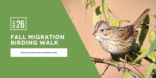 Fall Migration Birding Walk