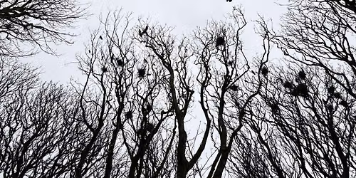 A Winter Day of Mindful Photography & Bookbinding