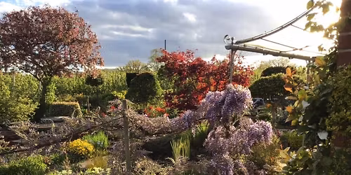Sheepcote Open Garden