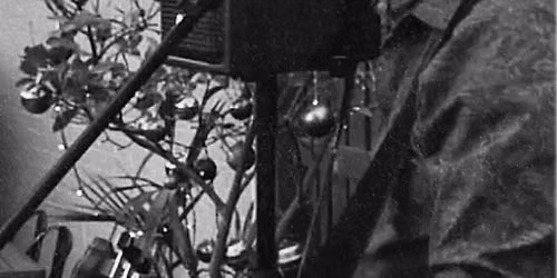 Live Music from Peter Morrison