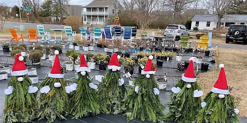 Gnome for the Holidays