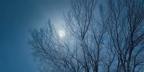 Full Moon Markets Presents "Cold Moon"