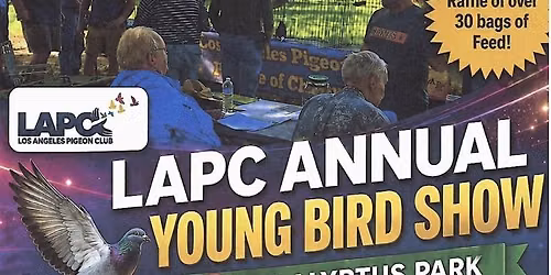 YOUNG BIRD SHOW by Los Angeles Pigeon Club