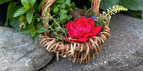 Invasive Vine Weaving Class