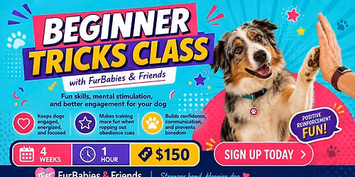 Beginner Dog Tricks Class in Glendale, AZ - 10\/4\/26 - 10:30am - 4 Weeks - $150