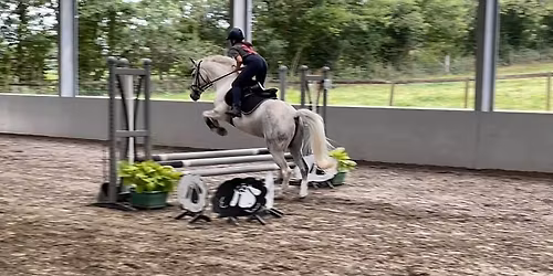 Working Hunter \/ Arena Eventing Clinic