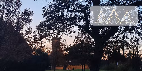 Carols amongst the Trees