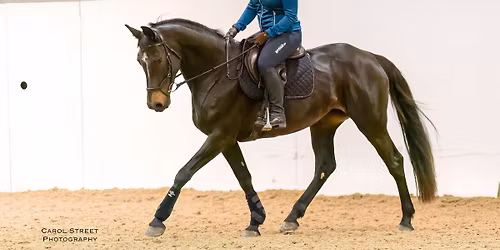 Polework and Gymnastic Jumping Clinic 