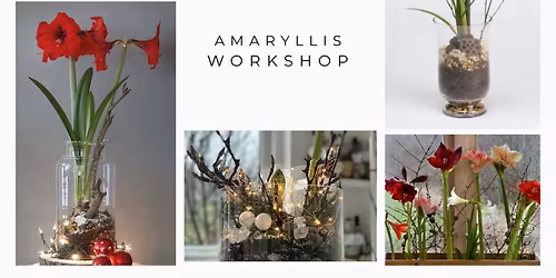 Amaryllis Workshop with Brenda