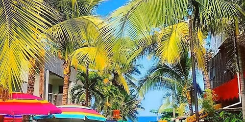 \u2728\ud83c\udf34 Viaje a Sayulita y San Pancho \ud83c\udf34\u2728