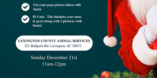 Meet Santa-Paws At the Shelter