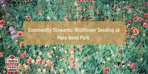 Community Stewards: Wildflower Seeding at Pace Bend Park
