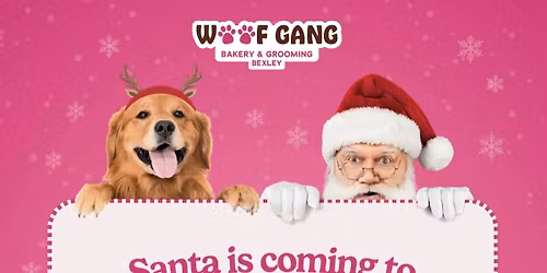 Pictures with Santa for Pups and Kids!