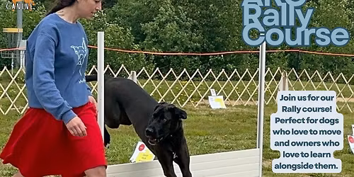 AKC Rally Course