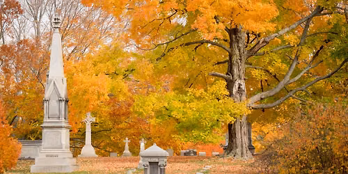Fall Foliage Tour 