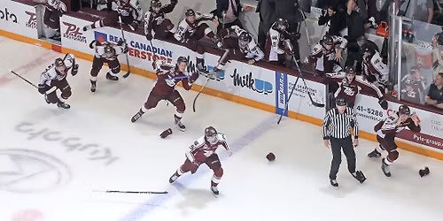 London Knights at Peterborough Petes