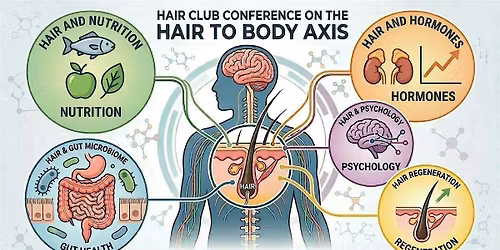 Untangling links between the body and hair