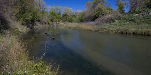 Birding the Woodbridge Wilderness Area